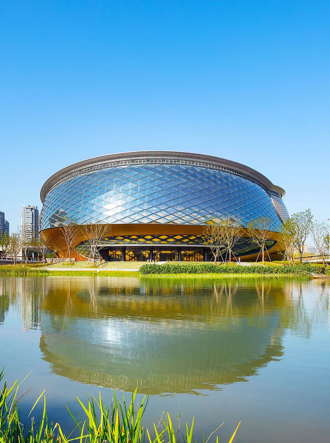 bevictor伟德官网 - 韦德官方网站