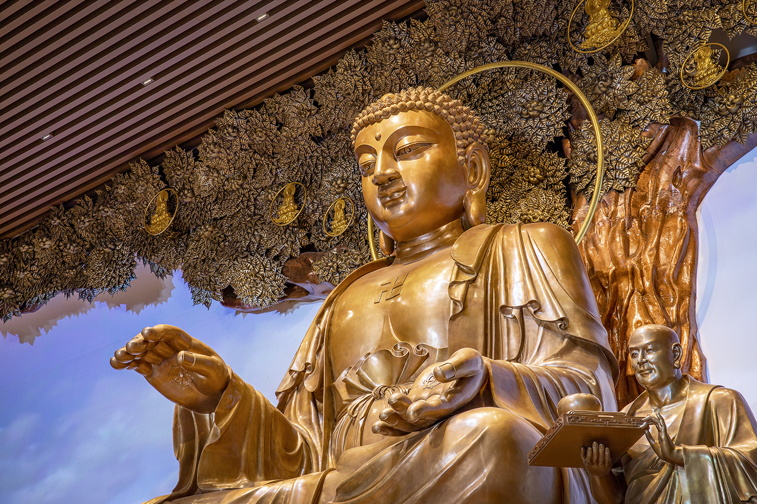 bevictorΰ�¹��� - Τ�¹ٷ���վ