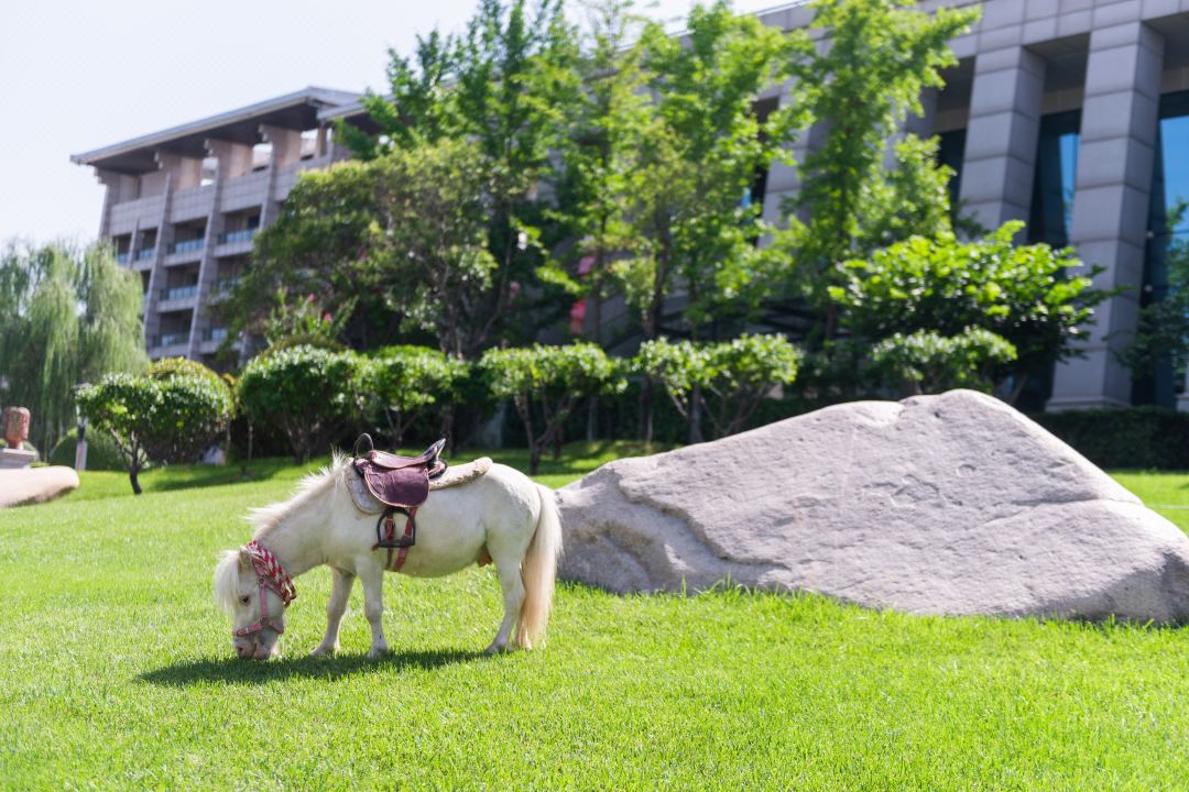 bevictor伟德官网 - 韦德官方网站