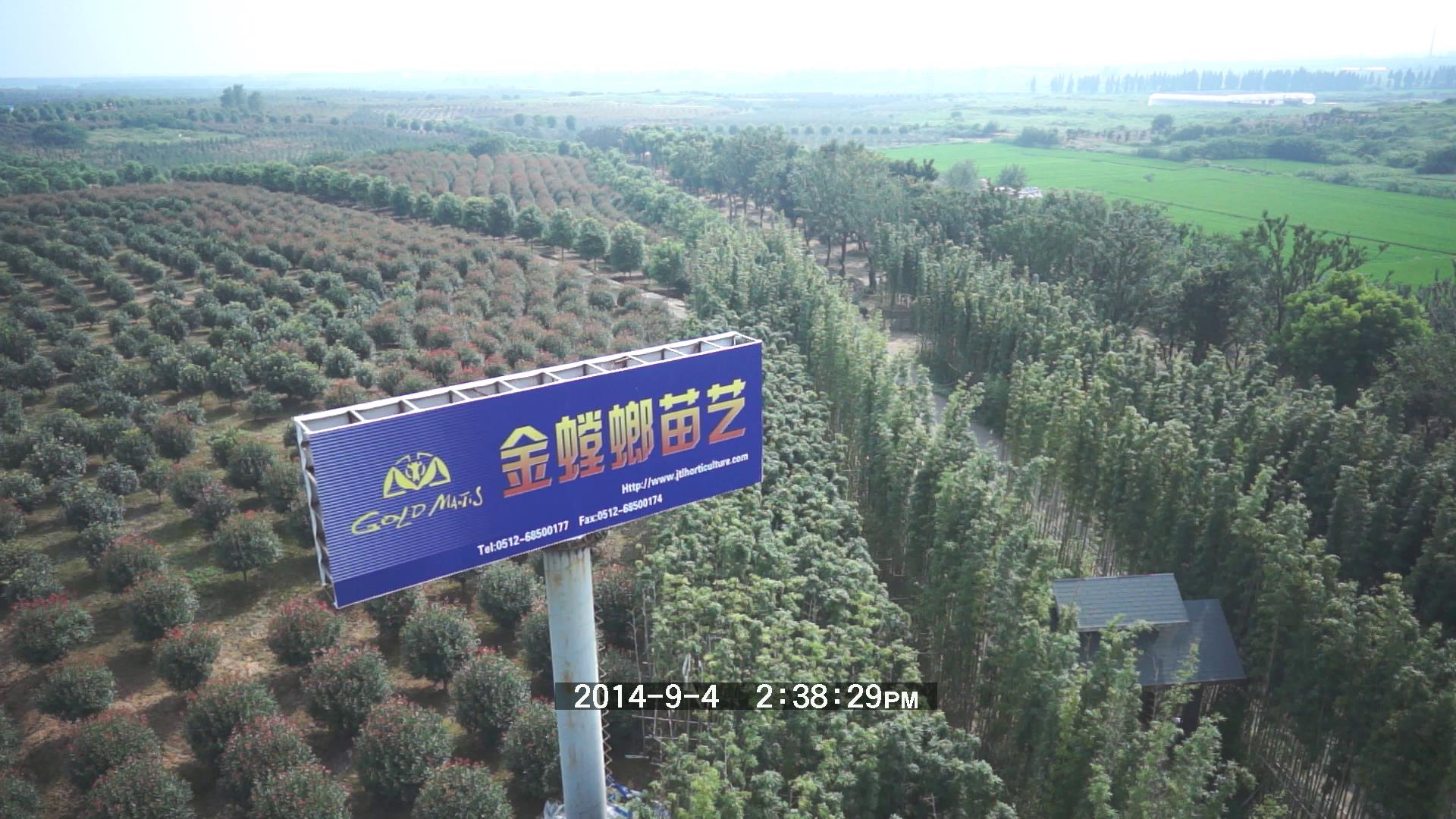 bevictorΰ�¹��� - Τ�¹ٷ���վ