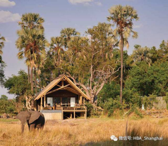 bevictorΰµÂ¹ÙÍø - ΤµÂ¹Ù·½ÍøÕ¾