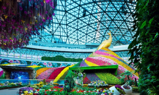 bevictorΰµÂ¹ÙÍø - ΤµÂ¹Ù·½ÍøÕ¾