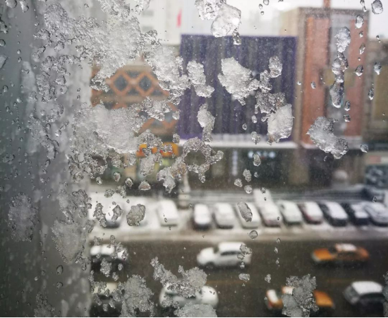 bevictorΰµÂ¹ÙÍø - ΤµÂ¹Ù·½ÍøÕ¾