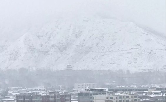 bevictorΰµÂ¹ÙÍø - ΤµÂ¹Ù·½ÍøÕ¾