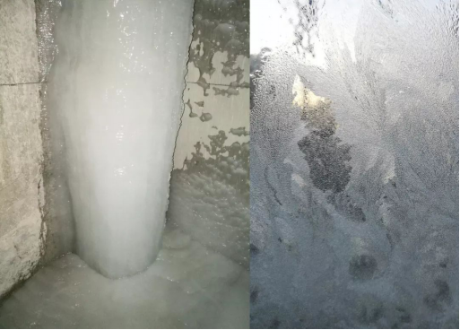 bevictorΰµÂ¹ÙÍø - ΤµÂ¹Ù·½ÍøÕ¾