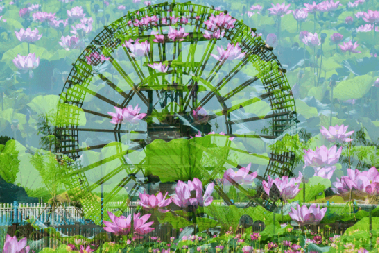 bevictorΰ�¹��� - Τ�¹ٷ���վ