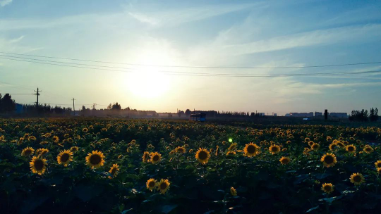 bevictorΰ�¹��� - Τ�¹ٷ���վ