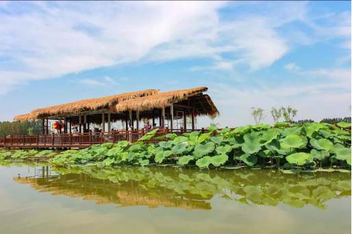 bevictorΰ�¹��� - Τ�¹ٷ���վ