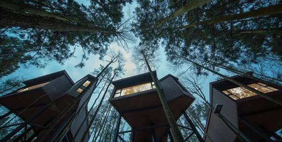 bevictorΰµÂ¹ÙÍø - ΤµÂ¹Ù·½ÍøÕ¾