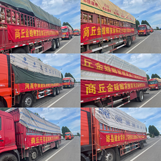 bevictor伟德官网 - 韦德官方网站